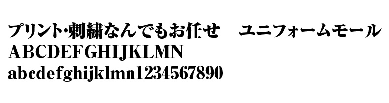 FJ-04サンプルイメージ