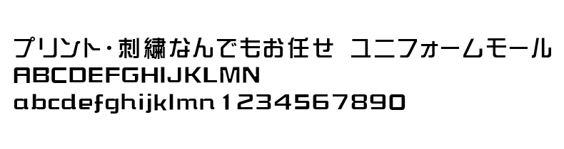 FJ-06サンプルイメージ