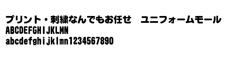 FJ-08サンプルイメージ