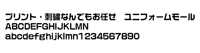 FJ-09サンプルイメージ