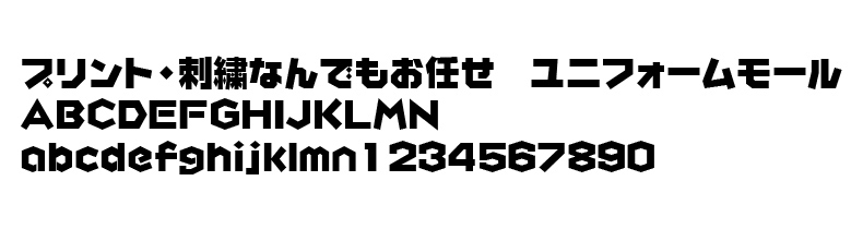 FJ-10サンプルイメージ