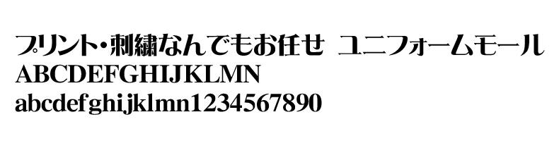 FJ-11サンプルイメージ