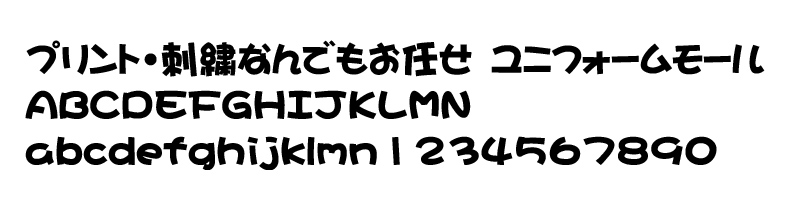 FJ-13サンプルイメージ