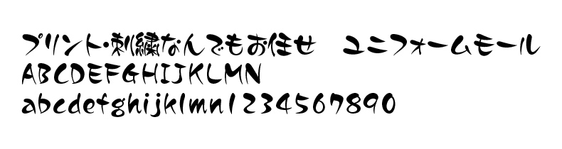 FJ-17サンプルイメージ