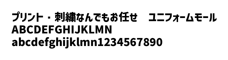 FJ-25サンプルイメージ